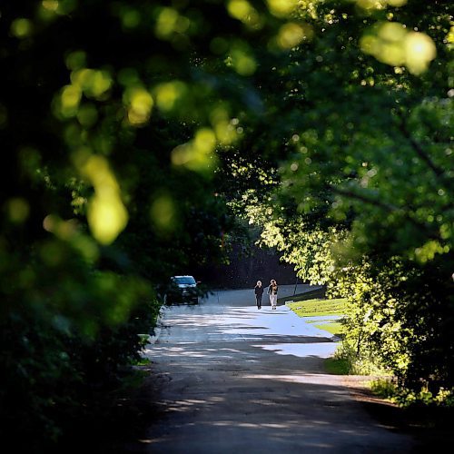 PHIL HOSSACK / WINNIPEG FREE PRESS - for 49.8 Pedestrians enjoy an evening stroll along Victoria Crescent in St Vital under a canopy of Elm and other trees. 49.8 See story.  - June 10, 2019.