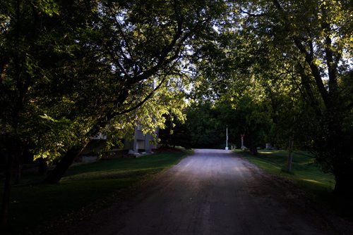 PHIL HOSSACK / WINNIPEG FREE PRESS - for 49.8 Lotus Lane under a canopy in St Vital...49.9 See story. - June 10, 2019.