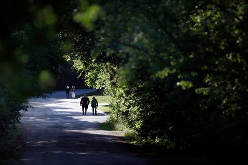 PHIL HOSSACK / WINNIPEG FREE PRESS - for 49.8  Pedestrians enjoy an evening stroll along Victoria Crescent in St Vital under a canopy of Elm and other trees. 49.8 See story.  - June 10, 2019.