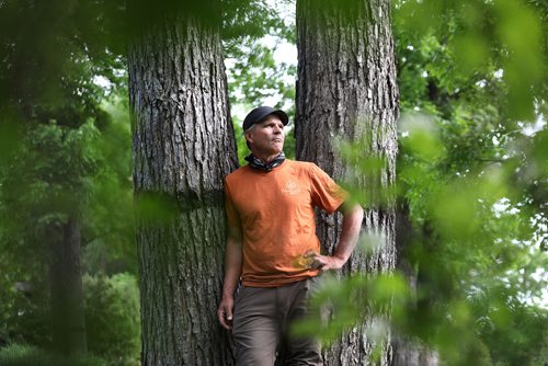 RUTH BONNEVILLE /  WINNIPEG FREE PRESS 

Environmental portraits of, Gerry Engel, arborist  with Trees Winnipeg, next to elm trees in a client backyard on south drive with the Red River running behind it.  

See Jen's story on Winnipeg's tree population and dutch elm disease.  


June 11th, 2019
