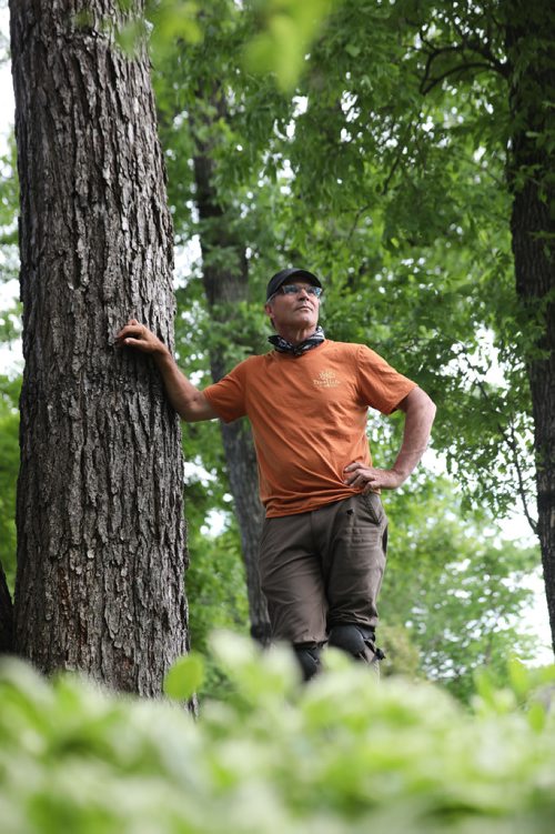 RUTH BONNEVILLE /  WINNIPEG FREE PRESS 

Environmental portraits of, Gerry Engel, arborist  with Trees Winnipeg, next to elm trees in a client backyard on south drive with the Red River running behind it.  

See Jen's story on Winnipeg's tree population and dutch elm disease.  


June 11th, 2019
