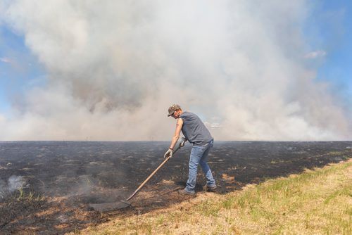 SASHA SEFTER / WINNIPEG FREE PRESS
Charlotte Crowley of Ducks Unlimited helps with the controlled burn of a field west of Kenaston Boulevard near the IKEA store and the Outlet Collection Winnipeg Mall.
190612 - Wednesday, June 12, 2019.