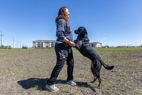 SASHA SEFTER / WINNIPEG FREE PRESS
Sonia Christ Director and Founder of Manitoba Great Pyrenees Rescue poses for a photo with Caramel a one and a half year old Rottweiler who is looking for her forever home.
190612 - Wednesday, June 12, 2019.