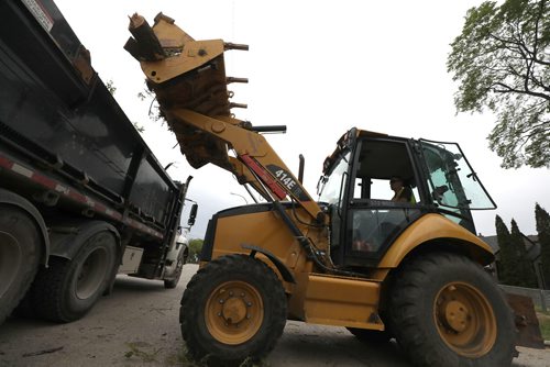 RUTH BONNEVILLE /  WINNIPEG FREE PRESS 

49.8  Dutch Elm Disease DED

A loader removes the branches from the road after an elm tree was cut down on Cathedral Ave. Tuesday.

See Jen Zoratti's  story on Winnipeg's tree population and dutch elm disease.  


June 11th, 2019
