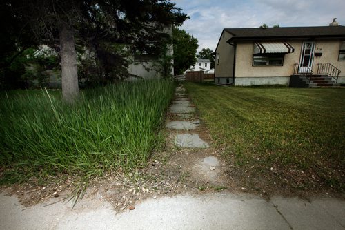 PHIL HOSSACK / WINNIPEG FREE PRESS - Illustration for Long Grass story........A city home next to another, one trimmed one not.  - June 12, 2019.