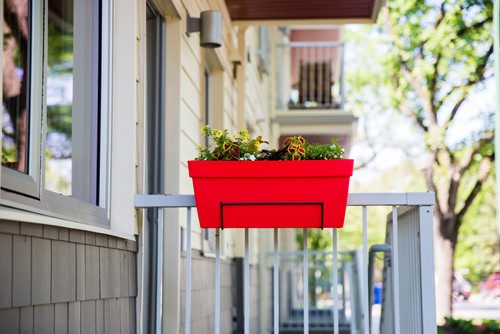 MIKAELA MACKENZIE / WINNIPEG FREE PRESS
Flower boxes at the Old Grace Housing Co-operative in Wolseley in Winnipeg on Friday, June 14, 2019. For Solomon Israel story.
Winnipeg Free Press 2019.