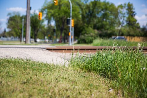 MIKAELA MACKENZIE / WINNIPEG FREE PRESS
The dividing line between city-owned and rail-owned grass at Railway and Burrows in Winnipeg on Friday, June 14, 2019. For Ryan Thorpe story.
Winnipeg Free Press 2019.