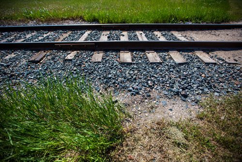 MIKAELA MACKENZIE / WINNIPEG FREE PRESS
The dividing line between city-owned and rail-owned grass at Railway and Burrows in Winnipeg on Friday, June 14, 2019. For Ryan Thorpe story.
Winnipeg Free Press 2019.