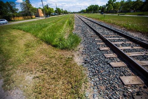 MIKAELA MACKENZIE / WINNIPEG FREE PRESS
The dividing line between city-owned and rail-owned grass at Railway and Burrows in Winnipeg on Friday, June 14, 2019. For Ryan Thorpe story.
Winnipeg Free Press 2019.