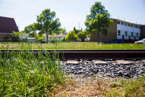 MIKAELA MACKENZIE / WINNIPEG FREE PRESS
The dividing line between city-owned and rail-owned grass at Railway and Burrows in Winnipeg on Friday, June 14, 2019. For Ryan Thorpe story.
Winnipeg Free Press 2019.