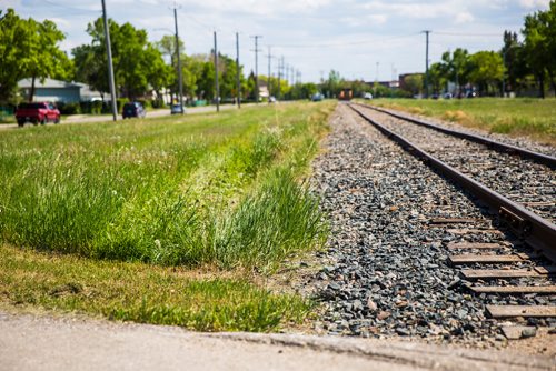 MIKAELA MACKENZIE / WINNIPEG FREE PRESS
The dividing line between city-owned and rail-owned grass at Railway and Burrows in Winnipeg on Friday, June 14, 2019. For Ryan Thorpe story.
Winnipeg Free Press 2019.