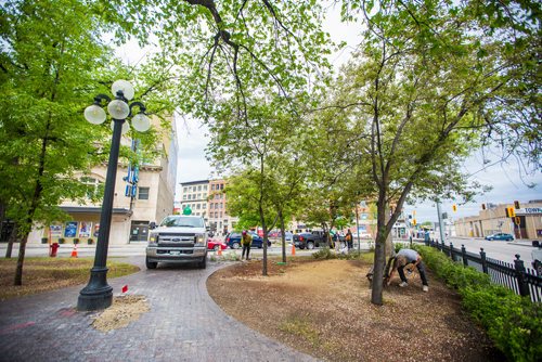 MIKAELA MACKENZIE / WINNIPEG FREE PRESS
The future patio space in front of the Burton Cummings Theatre in Winnipeg on Monday, June 17, 2019. For Kevin Rollason story.
Winnipeg Free Press 2019.