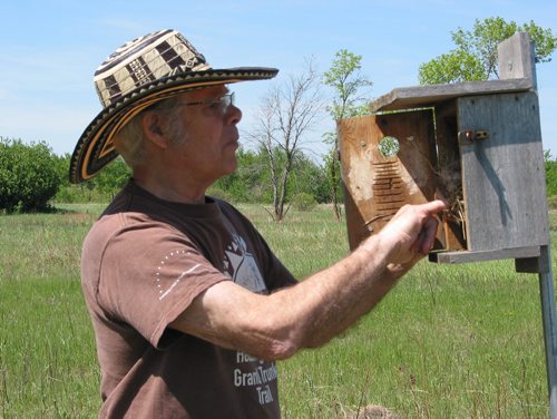 Canstar Community News June 5, 2019 - Headingley Grand Trunk Trail Association member Les McCann checks one of the 20 bird boxes installed along the trail that runs through the RM of Headingley. (ANDREA GEASRY/CANSTAR COMMUNITY NEWS)