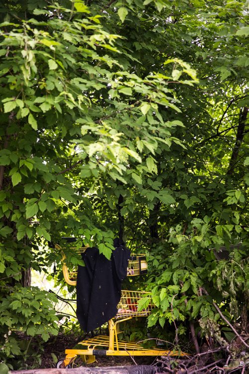 MIKAELA MACKENZIE / WINNIPEG FREE PRESS
Signs of habitation on the river in Osborne Village in Winnipeg on Thursday, June 13, 2019. For Ben Waldman story.  
Winnipeg Free Press 2019.