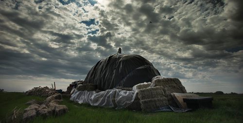 Phil Hossack / Winnipeg Free Press - - June 11, 2019