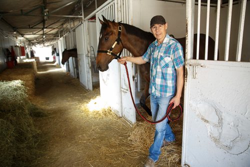 MIKE DEAL / WINNIPEG FREE PRESS
In the stables with Delvecchio, trainer Tom Gardipy Jr. Thursday morning. Tom surged into the lead trainer spot last weekend at the Assiniboia Downs.
190620 - Thursday, June 20, 2019.