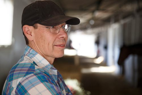 MIKE DEAL / WINNIPEG FREE PRESS
Trainer Tom Gardipy Jr. surged into leading trainer spot last weekend at the Assiniboia Downs.
190620 - Thursday, June 20, 2019.