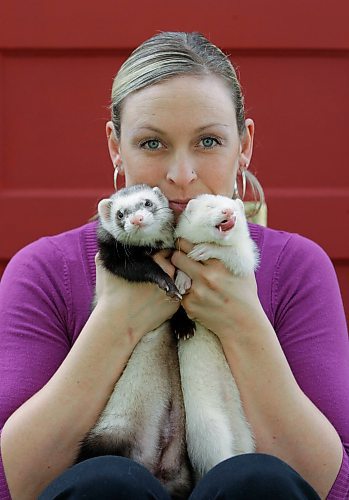 BORIS.MINKEVICH@FREEPRESS.MB.CA BORIS MINKEVICH / WINNIPEG FREE PRESS  090611 Kelly Yager runs a Ferret Rescue out of her home. She poses on her front steps with L-R Gizmo and Max.