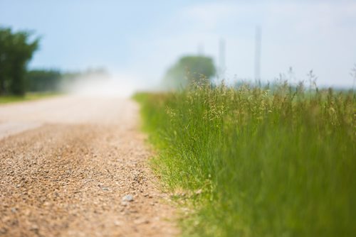 MIKAELA MACKENZIE / WINNIPEG FREE PRESS
Ste. Anne's Road near PR 206 near Landmark, Manitoba on Monday, June 24, 2019. The abducted 16-year-old girl liked to walk her family's dog here. For Tessa Vanderhart story.
Winnipeg Free Press 2019.