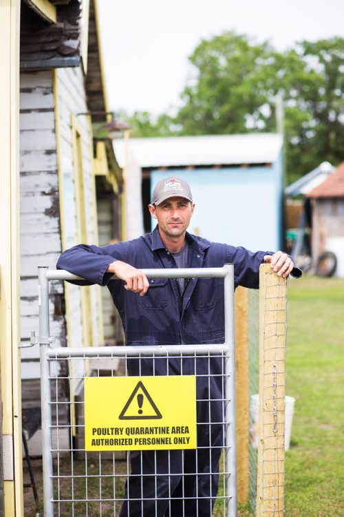 MIKAELA MACKENZIE / WINNIPEG FREE PRESS
Karl Schoenrock, co-owner of Kismet Creek Farm, in his quarantined chicken coop near Steinbach, Manitoba on Monday, June 24, 2019. Their rescue chickens have been infected with ILT (a highly contagious chicken virus) but they've been approved for a long-term quarantine so they don't have to kill them off. For Tessa Vanderhart story.
Winnipeg Free Press 2019.