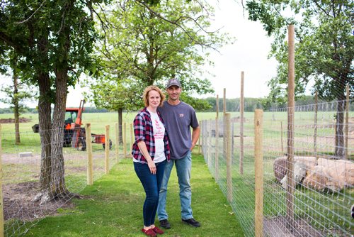 MIKAELA MACKENZIE / WINNIPEG FREE PRESS
Raelle and Karl Schoenrock, owners of Kismet Creek Farm, by their quarantined turkeys near Steinbach, Manitoba on Monday, June 24, 2019. Their rescue chickens have been infected with ILT (a highly contagious chicken virus) but they've been approved for a long-term quarantine so they don't have to kill them off. For Tessa Vanderhart story.
Winnipeg Free Press 2019.