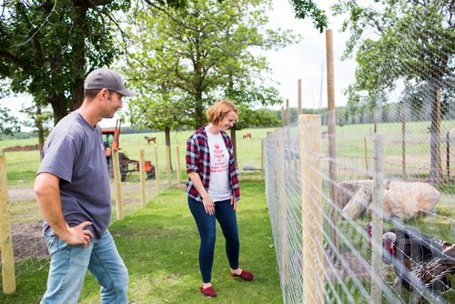 MIKAELA MACKENZIE / WINNIPEG FREE PRESS
Raelle and Karl Schoenrock, owners of Kismet Creek Farm, by their quarantined turkeys near Steinbach, Manitoba on Monday, June 24, 2019. Their rescue chickens have been infected with ILT (a highly contagious chicken virus) but they've been approved for a long-term quarantine so they don't have to kill them off. For Tessa Vanderhart story.
Winnipeg Free Press 2019.