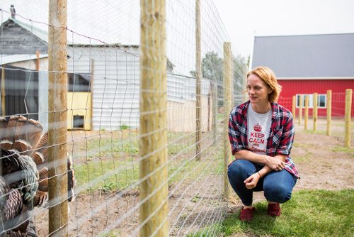 MIKAELA MACKENZIE / WINNIPEG FREE PRESS
Raelle Schoenrock, co-owner of Kismet Creek Farm, by the quarantined turkeys near Steinbach, Manitoba on Monday, June 24, 2019. Their rescue chickens have been infected with ILT (a highly contagious chicken virus) but they've been approved for a long-term quarantine so they don't have to kill them off. For Tessa Vanderhart story.
Winnipeg Free Press 2019.