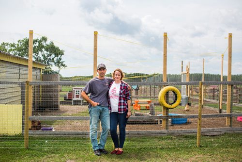 MIKAELA MACKENZIE / WINNIPEG FREE PRESS
Raelle and Karl Schoenrock, owners of Kismet Creek Farm, by their quarantined chicken coop near Steinbach, Manitoba on Monday, June 24, 2019. Their rescue chickens have been infected with ILT (a highly contagious chicken virus) but they've been approved for a long-term quarantine so they don't have to kill them off. For Tessa Vanderhart story.
Winnipeg Free Press 2019.