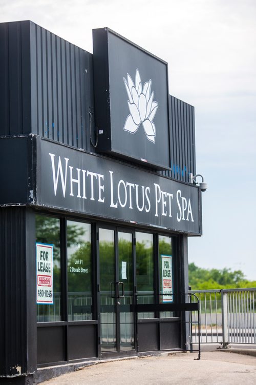 MIKAELA MACKENZIE / WINNIPEG FREE PRESS
The recently closed White Lotus Pet Spa on Donald in Winnipeg on Monday, July 8, 2019. 
Winnipeg Free Press 2019.