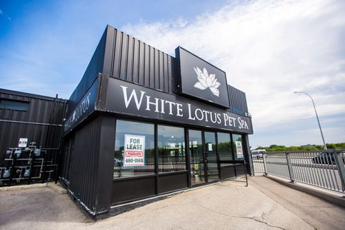 MIKAELA MACKENZIE / WINNIPEG FREE PRESS
The recently closed White Lotus Pet Spa on Donald in Winnipeg on Monday, July 8, 2019. 
Winnipeg Free Press 2019.