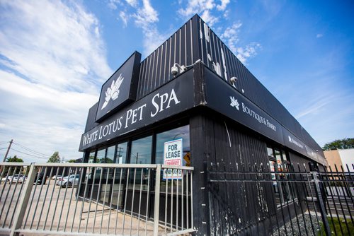 MIKAELA MACKENZIE / WINNIPEG FREE PRESS
The recently closed White Lotus Pet Spa on Donald in Winnipeg on Monday, July 8, 2019. 
Winnipeg Free Press 2019.