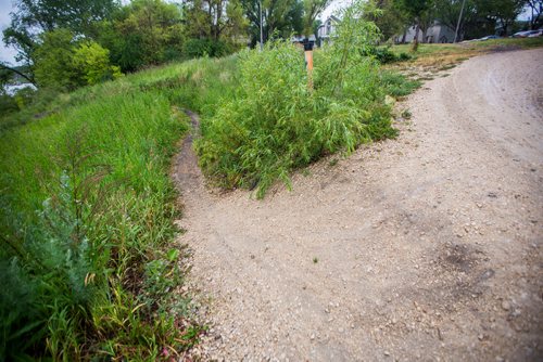 MIKAELA MACKENZIE / WINNIPEG FREE PRESS
A bike path that has a gap between Togo and Brandon avenues stops in South Osborne in Winnipeg on Tuesday, July 9, 2019. For Caitlyn Gowriluk story.
Winnipeg Free Press 2019.