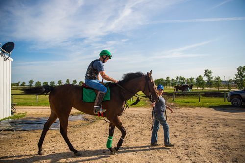 MIKAELA MACKENZIE / WINNIPEG FREE PRESS
Trainer Mike Nault rides filly Hidden Grace as groomer Laura Garrett leads her at the Assiniboia Downs in Winnipeg on Thursday, July 11, 2019. For George Williams story.
Winnipeg Free Press 2019.