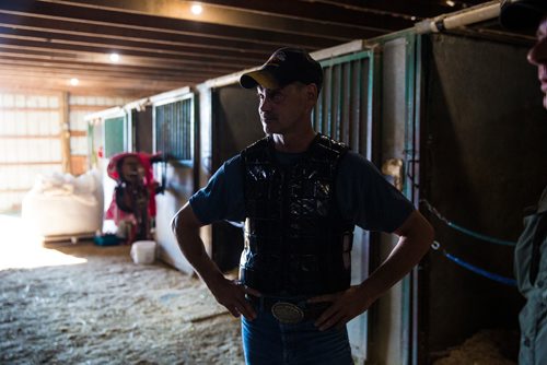 MIKAELA MACKENZIE / WINNIPEG FREE PRESS
Trainer Mike Nault at the Assiniboia Downs in Winnipeg on Thursday, July 11, 2019. For George Williams story.
Winnipeg Free Press 2019.