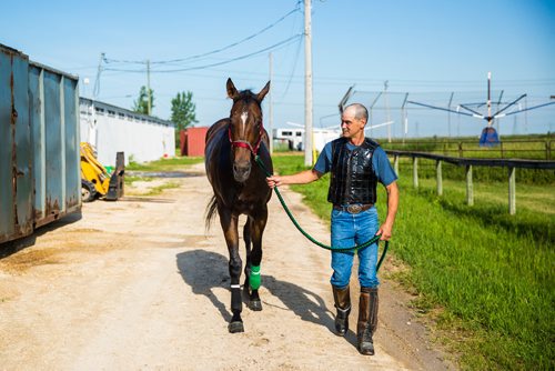 MIKAELA MACKENZIE / WINNIPEG FREE PRESS
Trainer Mike Nault with filly Hidden Grace at the Assiniboia Downs in Winnipeg on Thursday, July 11, 2019. For George Williams story.
Winnipeg Free Press 2019.