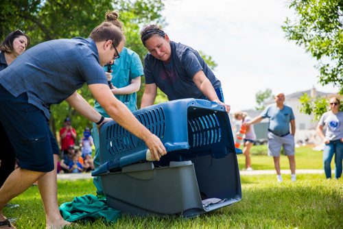 MIKAELA MACKENZIE / WINNIPEG FREE PRESS
Mayor Chris Ewen (left) and special guest Rayne DeLaRonde open the crate to release a juvenile bald eagle back to nature at D'Auteuil Park in Ile-des-Chenes on Thursday, July 11, 2019. For Nick story.
Winnipeg Free Press 2019.
