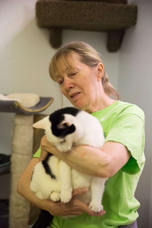 MIKAELA MACKENZIE / WINNIPEG FREE PRESS
Susan Koskinen, a volunteer, cuddles cats at Craig Street Cats in Winnipeg on Friday, July 12, 2019. For Jen Zoratti story.
Winnipeg Free Press 2019.