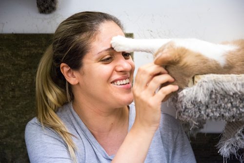 MIKAELA MACKENZIE / WINNIPEG FREE PRESS
Janaina Engelberg, who has been volunteering for about a month, brushes and pets cats at Craig Street Cats in Winnipeg on Friday, July 12, 2019. For Jen Zoratti story.
Winnipeg Free Press 2019.