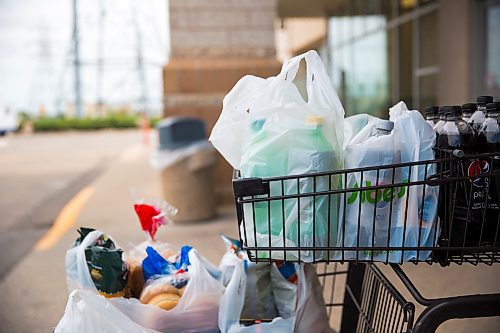 MIKAELA MACKENZIE / WINNIPEG FREE PRESS
A cart full of groceries packed in plastic bags, which will soon not be available, at the Grant Park Sobey's in Winnipeg on Wednesday, July 31, 2019. For Gillian Brown story.
Winnipeg Free Press 2019.