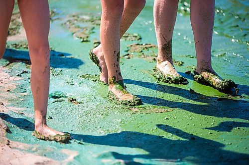 MIKAELA MACKENZIE / WINNIPEG FREE PRESS
Kids walk along the edge of the algae-laden water at Connaught Beach in Victoria Beach on Thursday, Aug. 1, 2019. For Caitlyn Gowriluk story.
Winnipeg Free Press 2019.