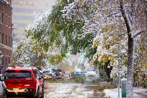 MIKAELA MACKENZIE / WINNIPEG FREE PRESS
Many downed branches on Bannatyne Avenue slow traffic in Winnipeg on Friday, Oct. 11, 2019. Standup.
Winnipeg Free Press 2019.