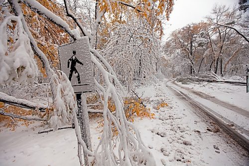 PHIL HOSSACK / WINNIPEG FREE PRESS - STAND-UP  - The centre road through St Vital Park is barely passable to traffic wether pedestrian or vehicle after many trees were felled (so far) by the storm.  - October 11, 2019.