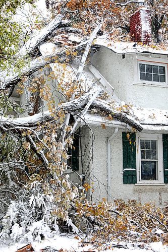RUTH BONNEVILLE  /  WINNIPEG FREE PRESS 

LOCAL - Tree falls on house

A large oak tree was completely uprooted by the winter storm and fell on a home at 441 Kingston Crescent at 6am Friday morning.  Homeowners were home at the time and heard an incredible crash sound but were unharmed.  

See story.

Oct 11h,  2019 

