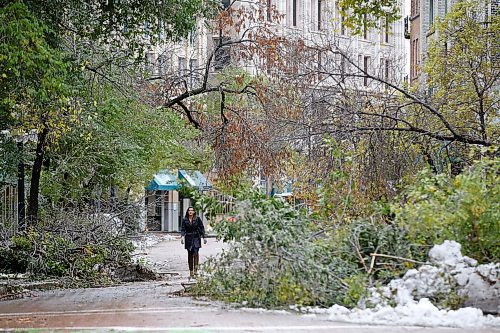 JOHN WOODS / WINNIPEG FREE PRESS
A pedestrian makes her way through some tree branches on Albert Street after a snow storm Thursday and Friday in Winnipeg Sunday, October 13, 2019. Parts of Manitoba were hit with an early winter storm which caused a lot of damage to trees and hydro supply.

Reporter: Ben