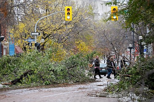 JOHN WOODS / WINNIPEG FREE PRESS
Pedestrians make their way through some tree branches on Albert Street and McDermot after a snow storm Thursday and Friday in Winnipeg Sunday, October 13, 2019. Parts of Manitoba were hit with an early winter storm which caused a lot of damage to trees and hydro supply.

Reporter: Ben