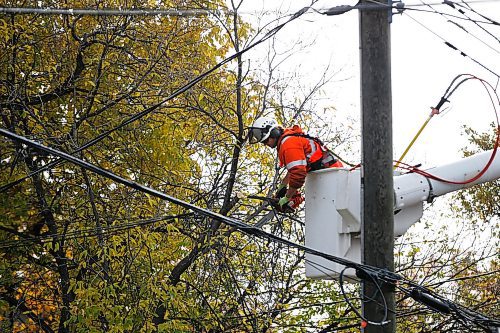 JOHN WOODS / WINNIPEG FREE PRESS
A crew cleans up some tree branches around hydro lines after a snow storm Thursday and Friday in Winnipeg Monday, October 14, 2019. Parts of Manitoba were hit with an early winter storm which caused a lot of damage to trees and hydro supply.

Reporter: Ben