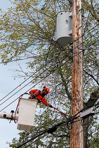 JOHN WOODS / WINNIPEG FREE PRESS
A crew cleans up some tree branches around hydro lines after a snow storm Thursday and Friday in Winnipeg Monday, October 14, 2019. Parts of Manitoba were hit with an early winter storm which caused a lot of damage to trees and hydro supply.

Reporter: Ben