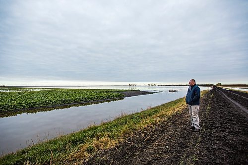 MIKAELA MACKENZIE / WINNIPEG FREE PRESS

Sugar beet farmer Jay Gudajtes checks on his waterlogged sugar beet fields near Drayton, North Dakota, on Thursday, Oct. 24, 2019. For Ben Waldman story.
Winnipeg Free Press 2019.