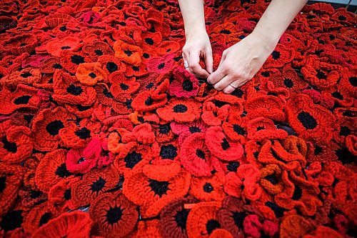 Daniel Crump / Winnipeg Free Press. Poppy Blanket Project volunteers put finishing touches onto the blanket at Garden City Community Centre. The blanket will be placed at the Convention Centre for the main Remembrance Day service. November 2, 2019.
