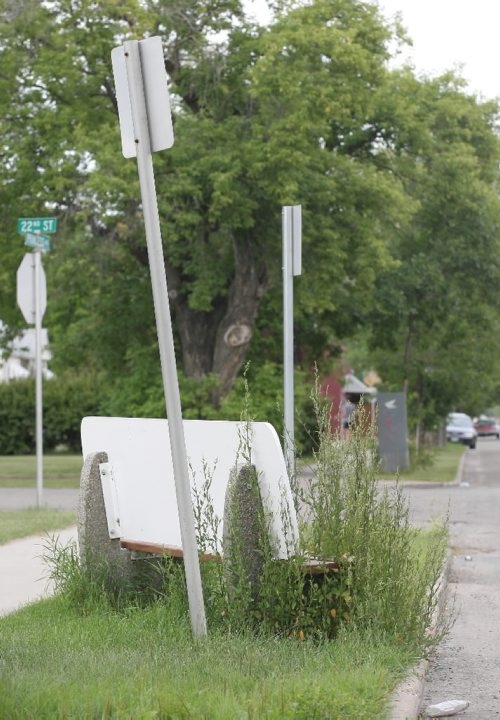 Brandon Sun Weeds have overgrown a bus stop bench along Princess Avenue. FOR ALLISON (Bruce Bumstead/Brandon Sun)